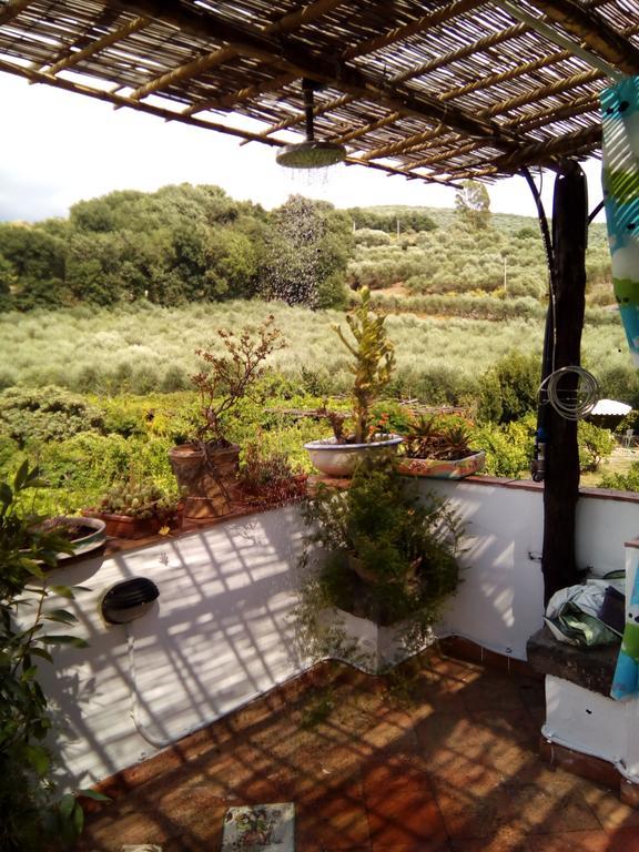 Masseria Sparano Villa Battipaglia Ngoại thất bức ảnh